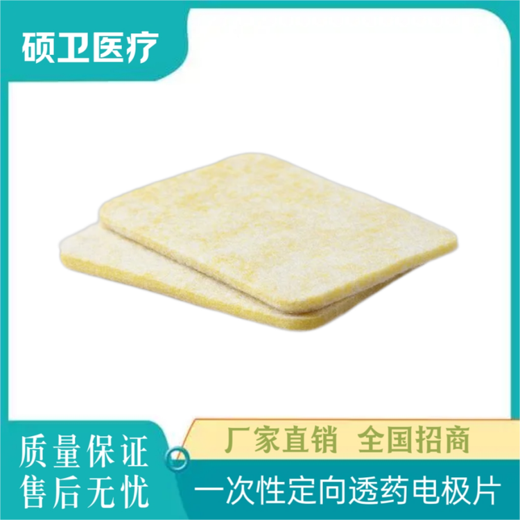 碩衛(wèi)理療電極片（適用于：定向透藥，胃腸動(dòng)力，中低頻，超聲透藥）