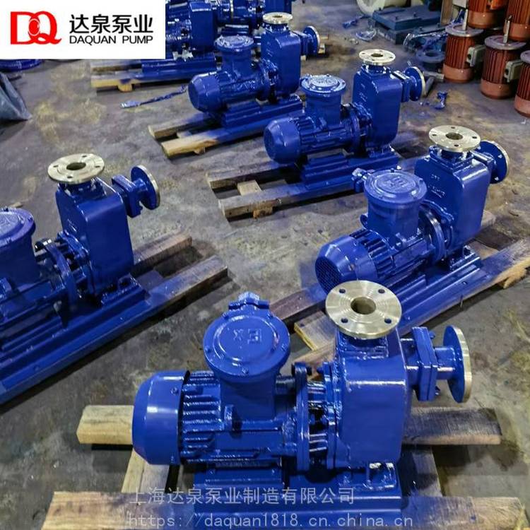 ZW150-180-38-55KW電廠污水泵環(huán)保工程污水泵市政排污自吸泵上海達泉泵業(yè)