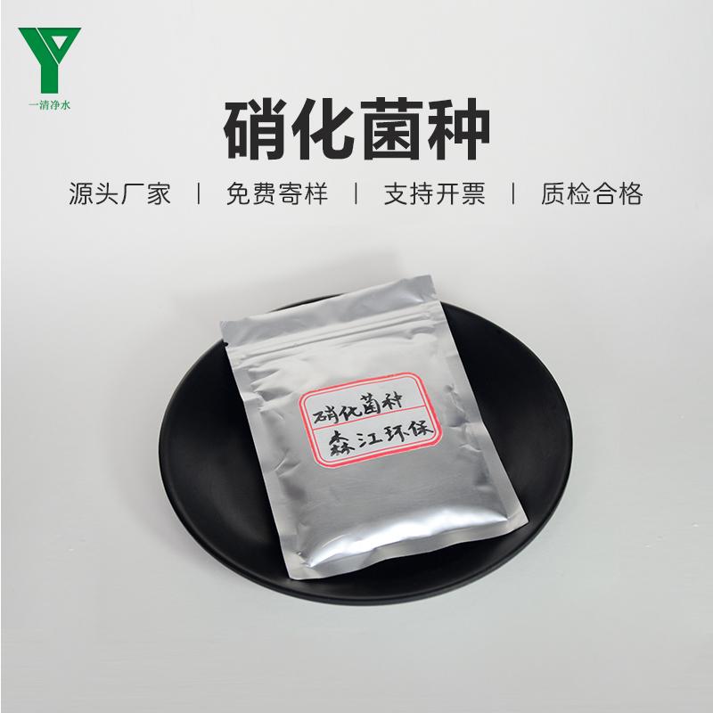 一清凈水微生物去氨氮硝化菌種污水處理硝化細菌