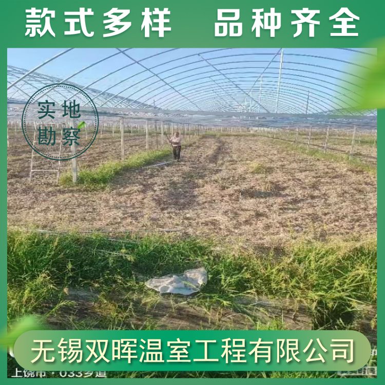 雙暉溫室蔬菜種植薄膜連棟大棚建造可實地測量設計