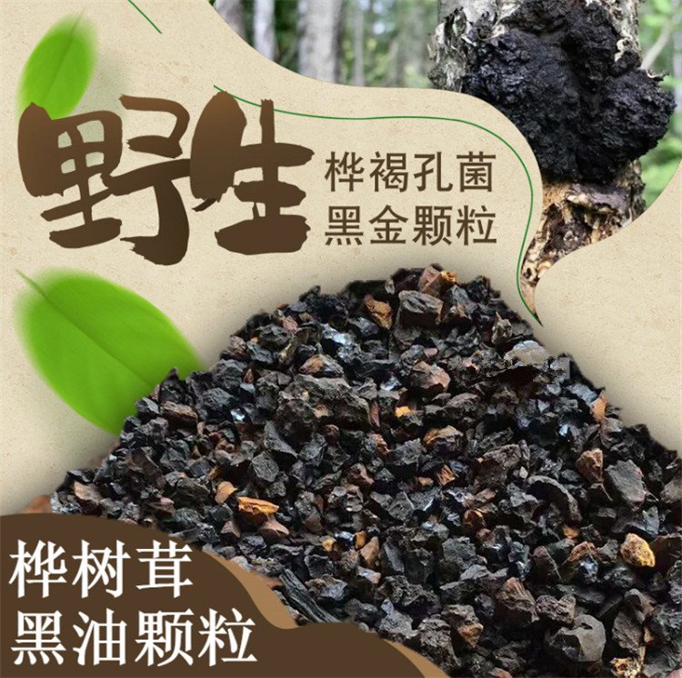 樺樹茸黑金加工廠樺褐孔菌黑金顆粒代用茶生產廠家