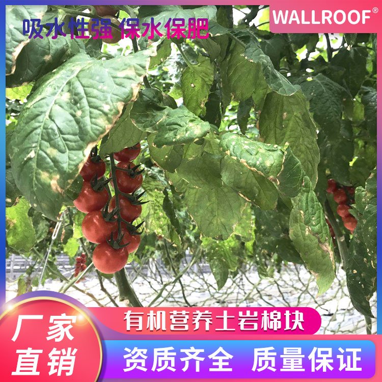 WALLROOF瓦樂(lè)夫有機(jī)營(yíng)養(yǎng)土巖棉塊無(wú)土栽培育苗