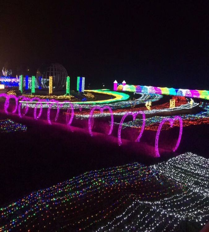 大型彩燈花燈美陳夜景裝飾景區(qū)公園夜游展覽項(xiàng)目燈光展亮化工程