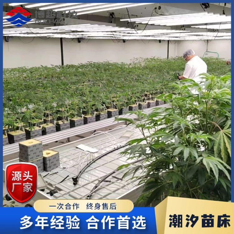 博超溫室設備潮汐苗床多肉辣椒幼苗育大棚溫室款式齊全