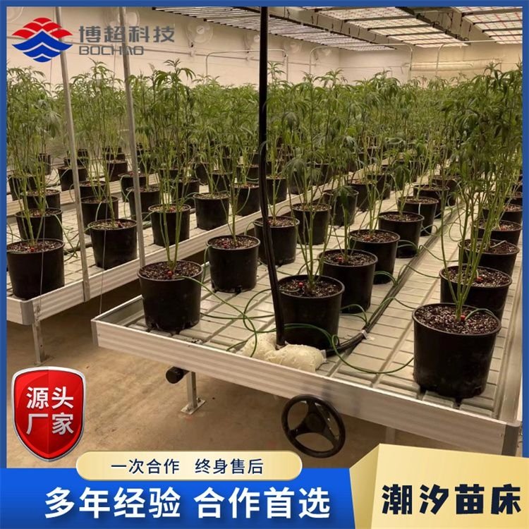 多樣化定制潮汐苗床移動熱鍍鋅絲網(wǎng)苗床按需定制