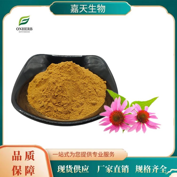 嘉天供應(yīng)紫錐菊提取物10:1紫錐菊噴霧干燥粉紫錐菊多酚