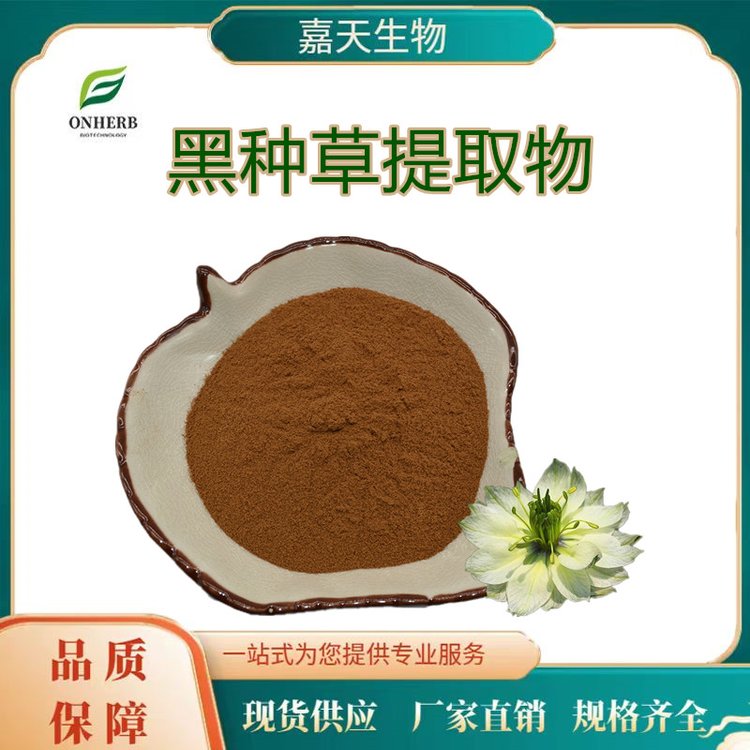 黑種草提取物10：1黑種草粉瘤果黑種草提取物廠家KG包郵