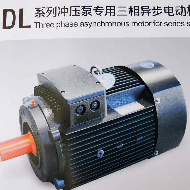 供應(yīng)開元電機(jī)ADL系列沖壓泵專用三相異步電動(dòng)機(jī)通用化程度高