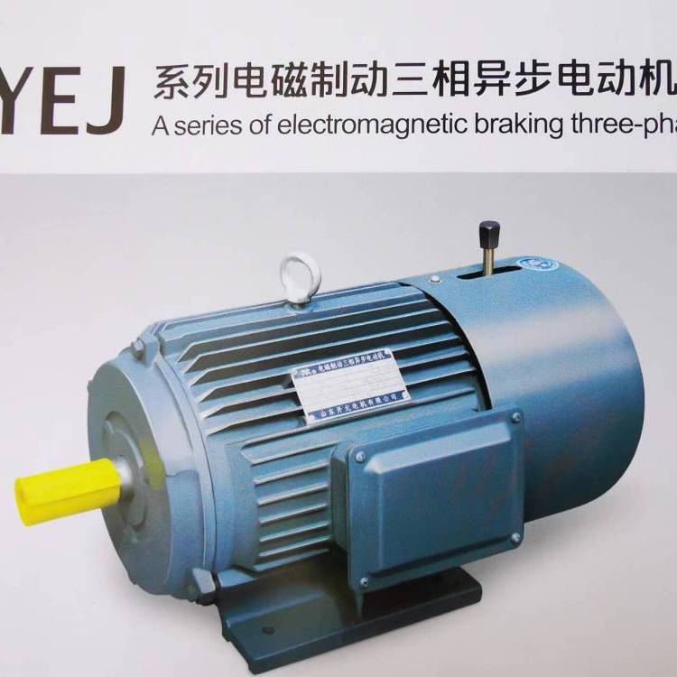 供應(yīng)開元電機(jī)YEJ系列電磁制動三相異步電動機(jī)