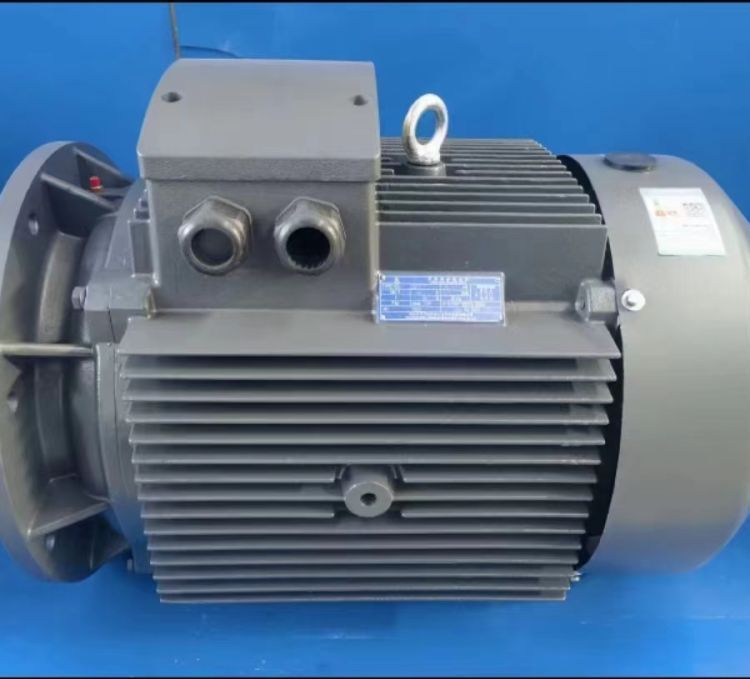 三相異步電動(dòng)機(jī)YE3-200L1-6-18.5KW380V50HZ高效節(jié)能電動(dòng)機(jī)