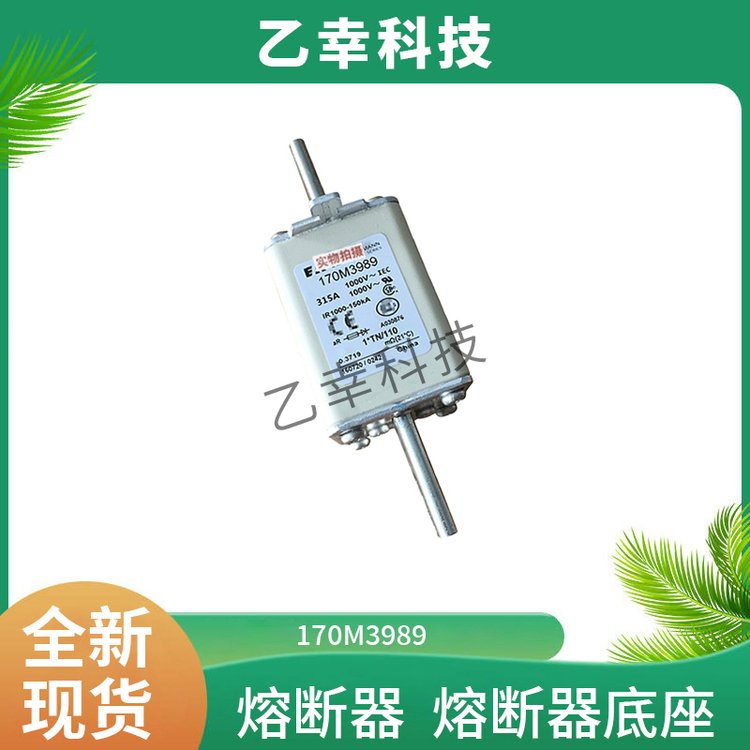 170M3989巴斯曼熔斷器bussmann特種保險絲電子元器件