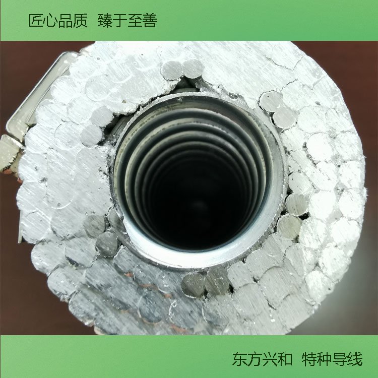 鋁鋼擴(kuò)徑空芯絞線lgkk-900熱電廠500kV變電站用導(dǎo)線東方興和出品