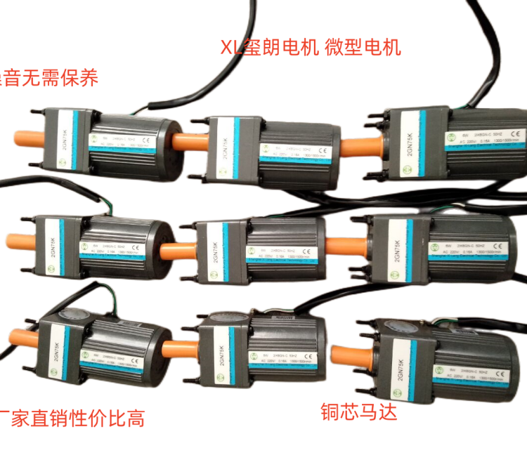 40W齒輪減速電機5IK40GN-C\/5GN25K微型電機璽朗馬達(dá)