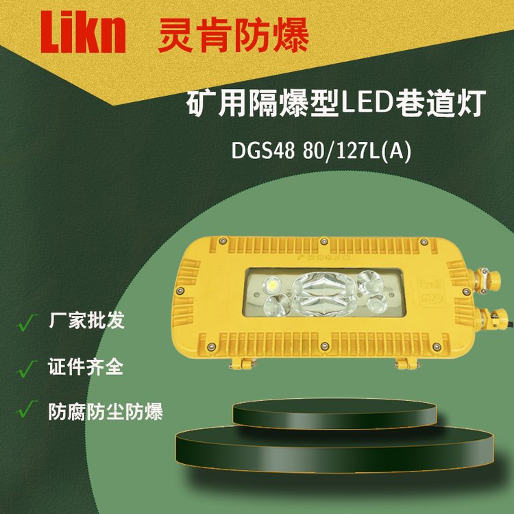 礦用隔爆型LED巷道燈DGS48\/127L(A)井下防爆照明燈DGS80\/127L(A)