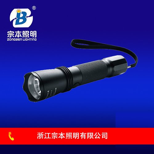 SW2101強(qiáng)光防爆電筒