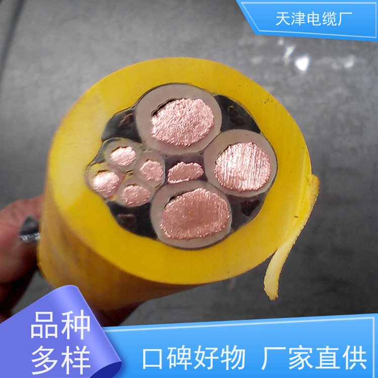 天聯(lián)生產(chǎn)阻燃通訊電纜ZR-HYAP電話(huà)通信用電纜