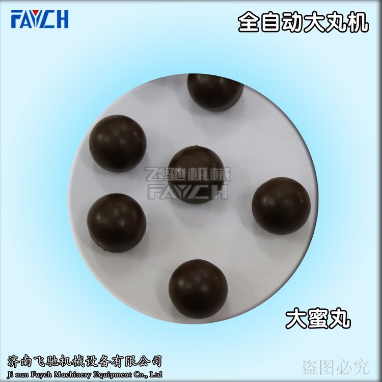 FAYCH牌自動大蜜丸制丸機ZW-369S不銹鋼全自動大丸機