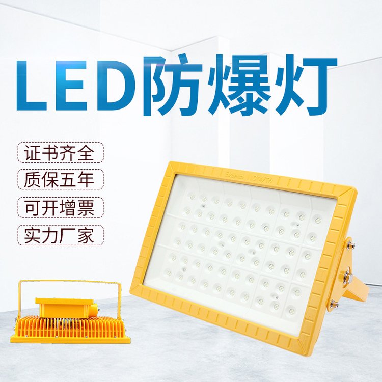 免維護(hù)LED防爆燈220V吸頂式投射燈B級(jí)隔爆型工廠燈U型支架安裝