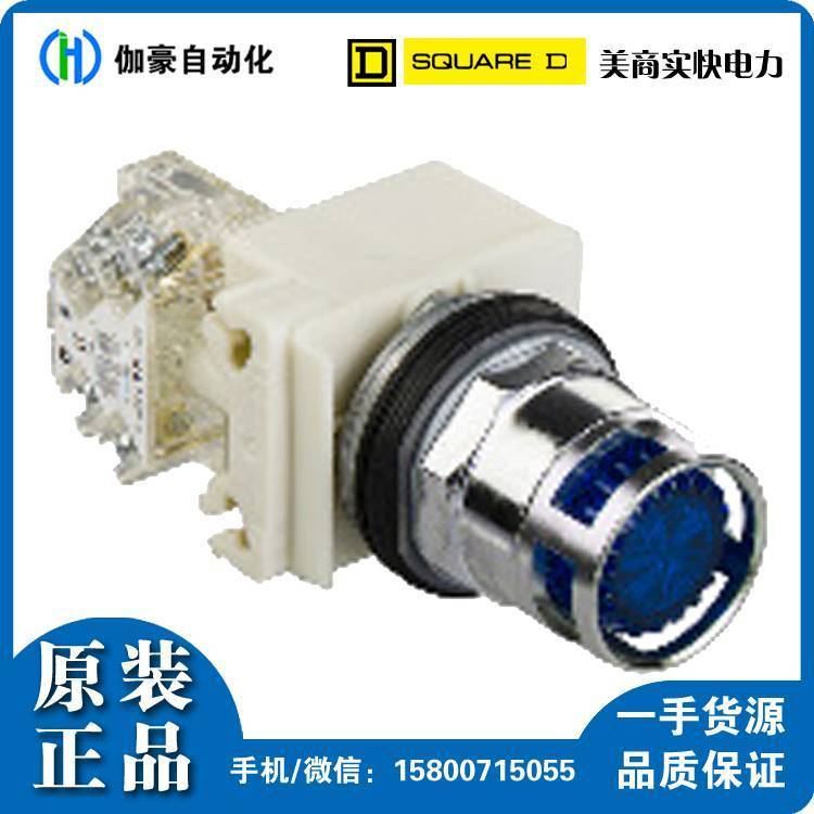 美商實(shí)塊SQUARE-D9001KP38G9壓力開(kāi)關(guān)庫(kù)存行貨全系列低壓產(chǎn)品