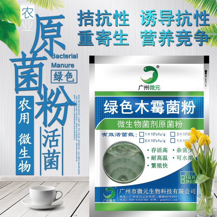 綠色木霉菌農(nóng)用微生物菌劑微元生物供應(yīng)微生物防治真菌性土傳病害