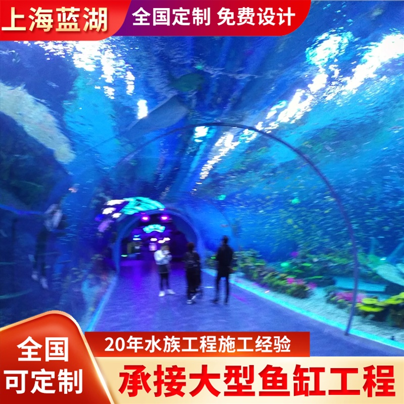 水族運營海洋館魚缸設(shè)計建造造景施工大型水族景觀工程