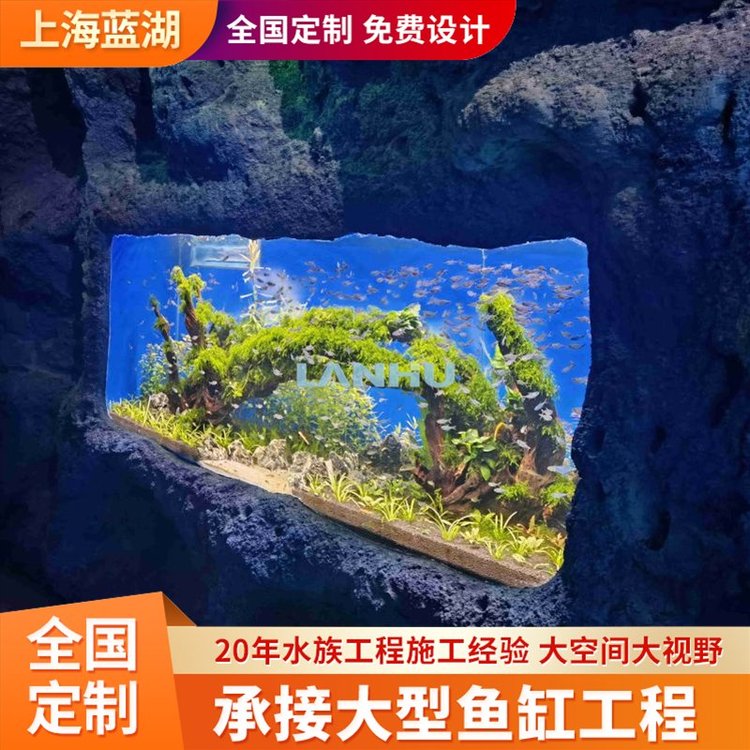 藍湖水族工程施工專業(yè)水族館勘測設(shè)計修建造景維生系統(tǒng)建設(shè)