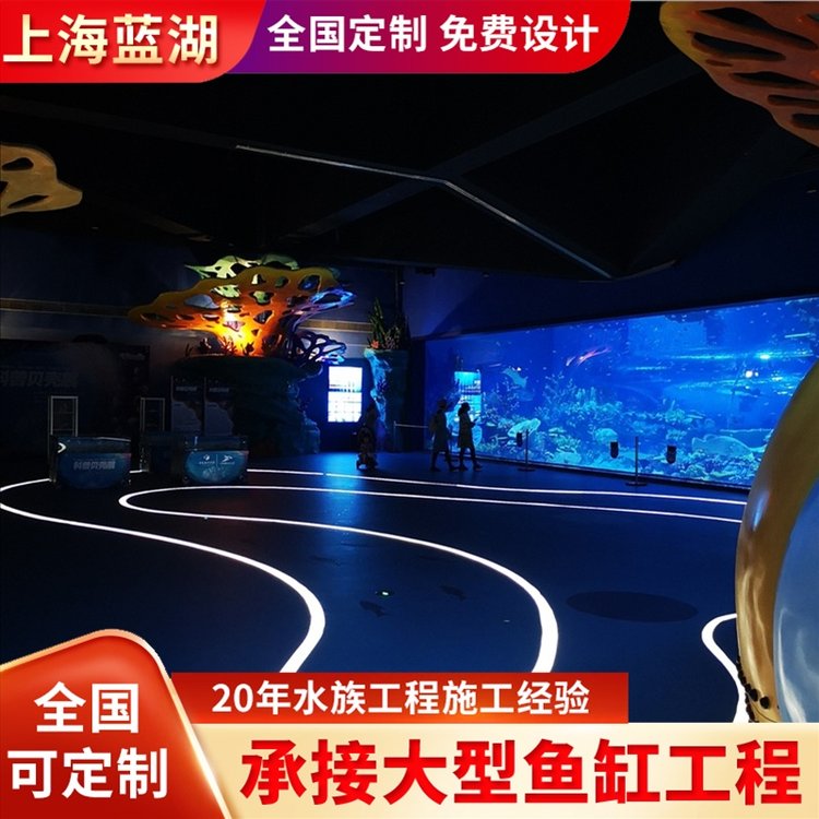 藍湖水族工程施工專業(yè)水族館勘測設計修建造景維生系統(tǒng)建設