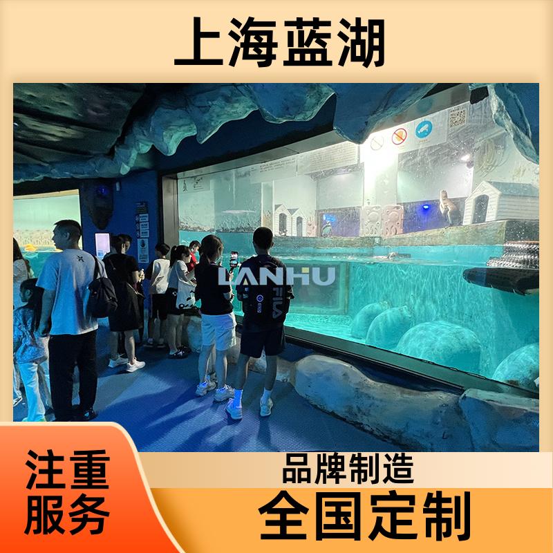 藍(lán)湖承接水族館建造別墅嵌入式魚缸專業(yè)生產(chǎn)廠家造景工程定做