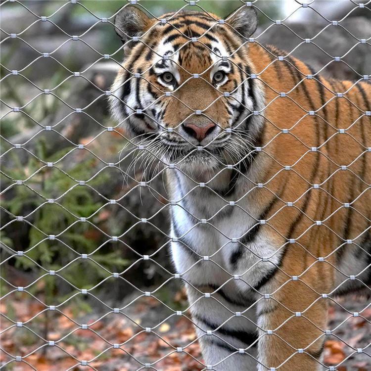 304316不銹鋼卡扣鋼絲繩網(wǎng)動物園圍網(wǎng)高空防墜安全網(wǎng)籠舍防護(hù)網(wǎng)