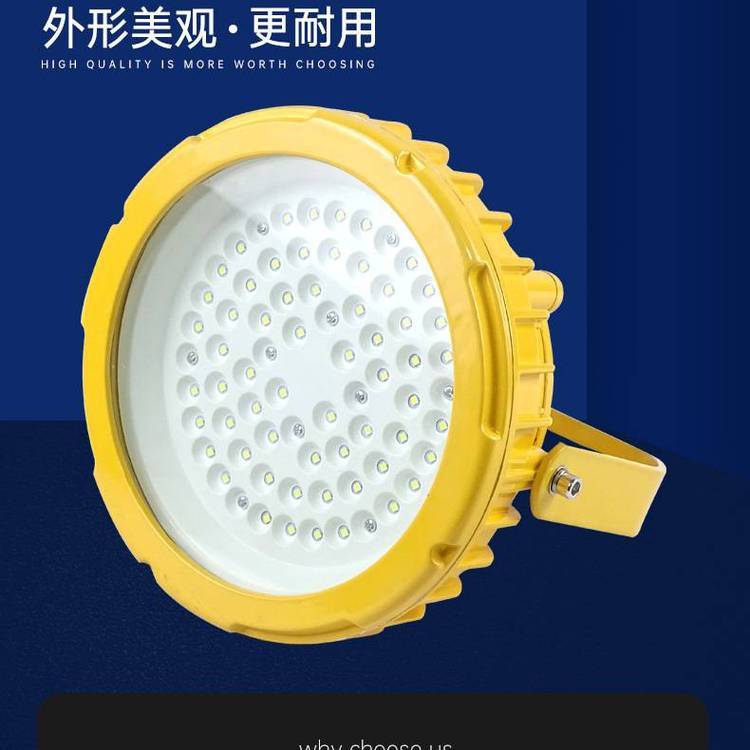 工廠車(chē)間照明投光燈隔爆型圓形LED防爆燈50W\/100W防爆泛光燈