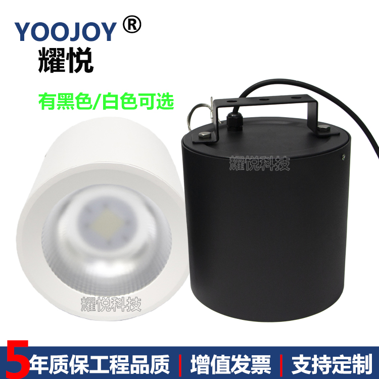 40W50W70W100W展廳筒燈風(fēng)雨棚射燈IP65防水吸頂安裝絲桿吊裝