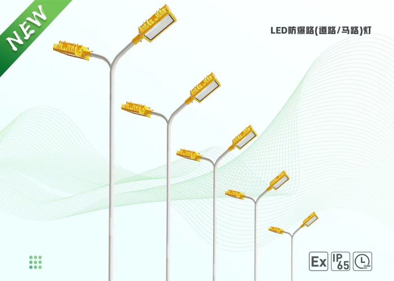 LED防爆路燈頭100W雙頭路燈120W廠區(qū)照明150W港口超亮防水高桿燈