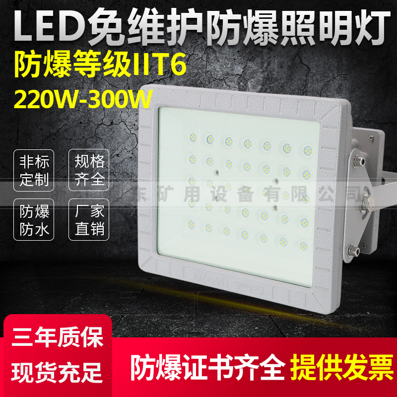 防爆燈廠家直售LED免維護(hù)防爆照明燈防爆等級IIT6220W-300W