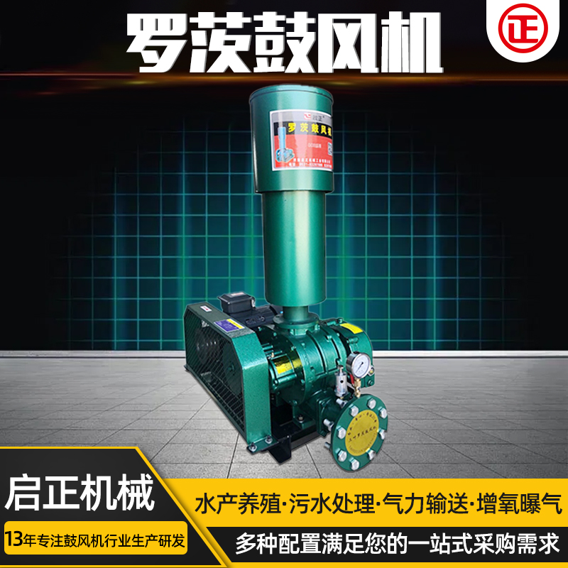 啟正加工維修羅茨式鼓風(fēng)機(jī)CCR125容積式風(fēng)機(jī)冶金行業(yè)用