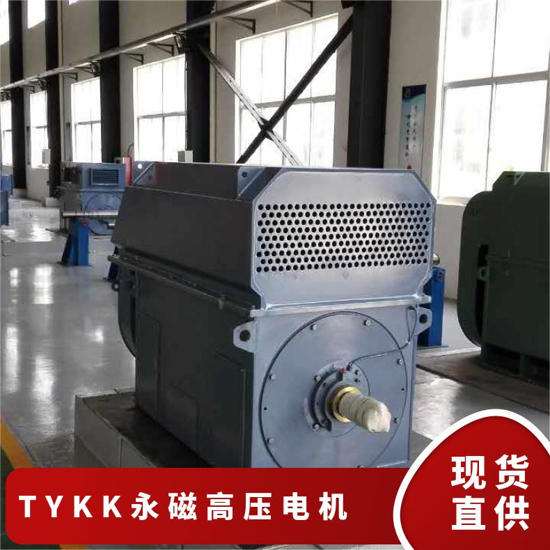 鴻泰永磁高壓電機(jī)TYKK800-4-5600千瓦4極噪音小振動低節(jié)能環(huán)保