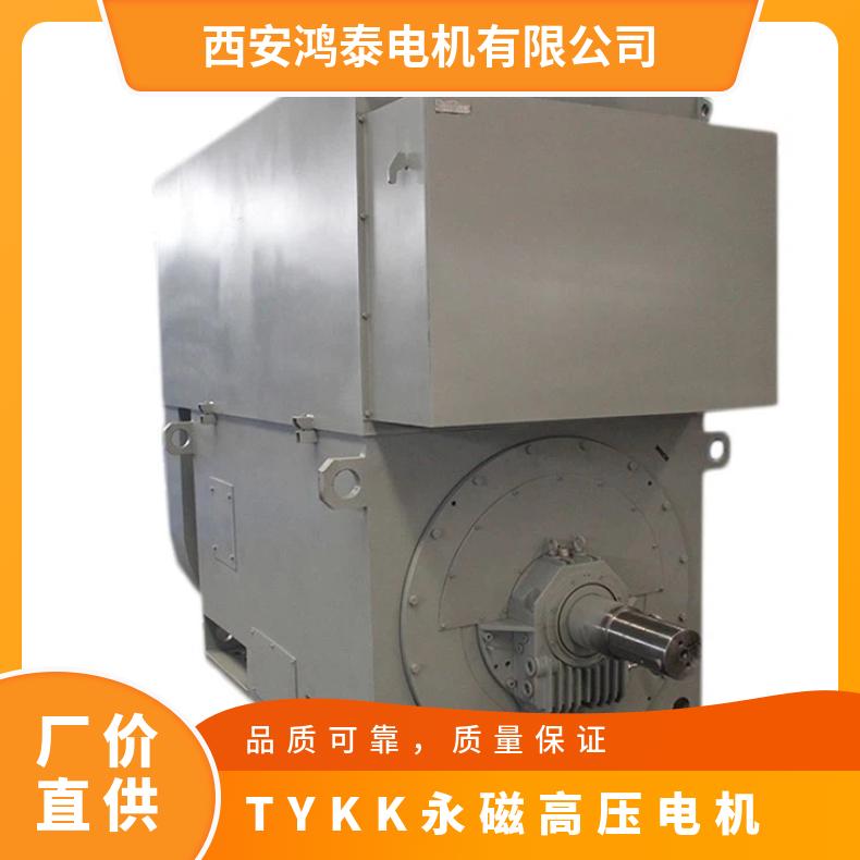 鴻泰高壓永磁同步電動(dòng)機(jī)TYKK710-4-2500KW一級(jí)能效等級(jí)可定制批發(fā)