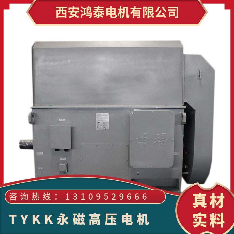 鴻泰TYKK500-12280千瓦12極永磁同步高壓電動機動態(tài)響應(yīng)好