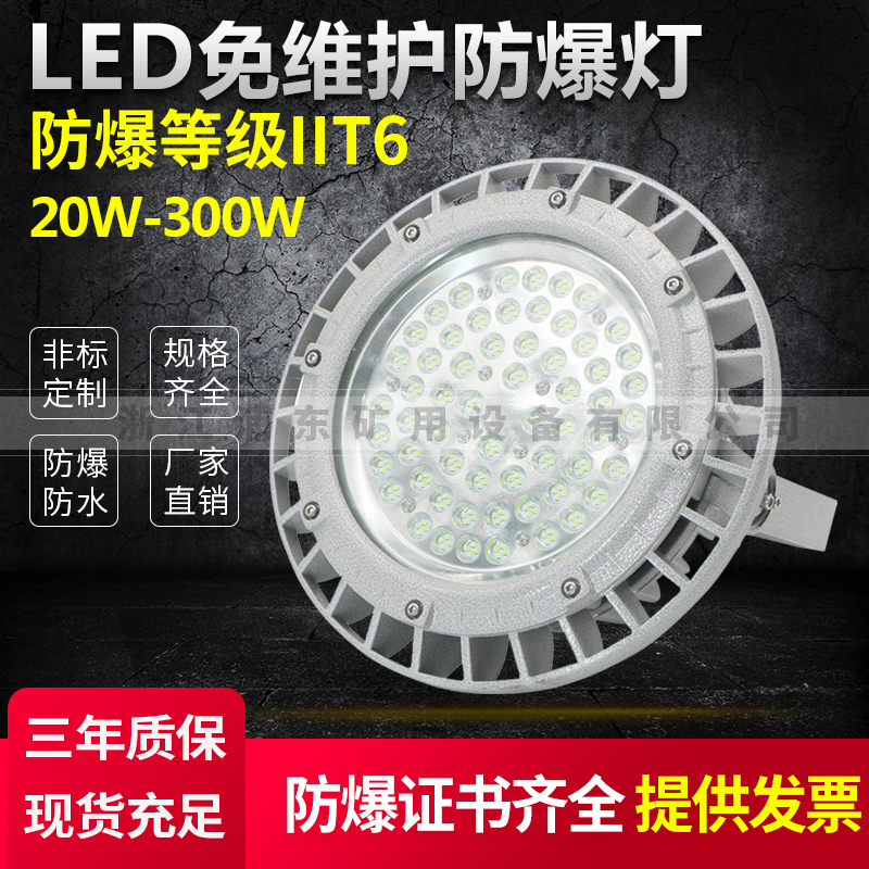 源頭廠家供應(yīng)防爆燈具LED免維護(hù)防爆燈防爆等級IIT620W-300W