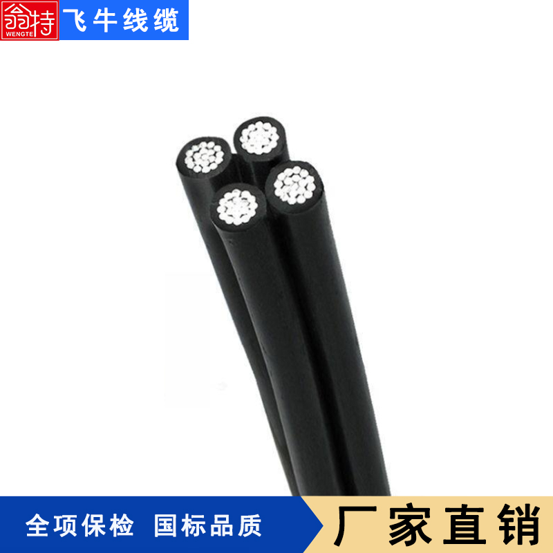 纜飛牛集束導線4*35麻花線全鋁絕緣導線電纜廠家生產(chǎn)現(xiàn)貨耐候耐摩