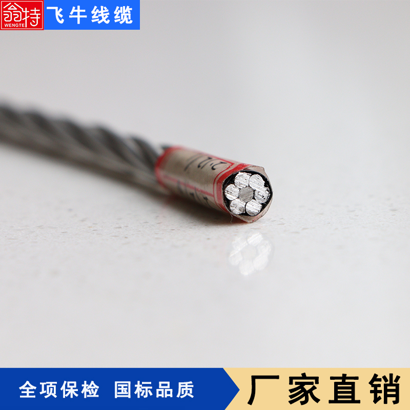 飛牛線纜鋼芯鋁絞線JL\/G1A-25\/4裸導(dǎo)線現(xiàn)貨工廠銷售抗拉強度高