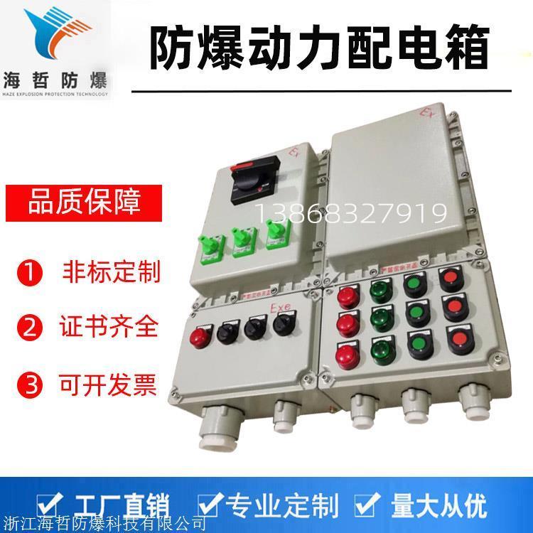 防爆配電裝置ExdeIIBT4Gb防爆照明動(dòng)力配電箱ExtDA21粉塵防爆箱