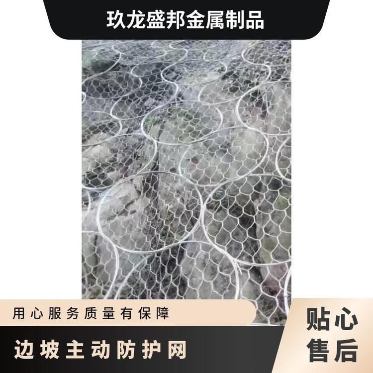 玖龍盛邦金屬制品邊坡被動防護(hù)網(wǎng)支持定做山體防護(hù)