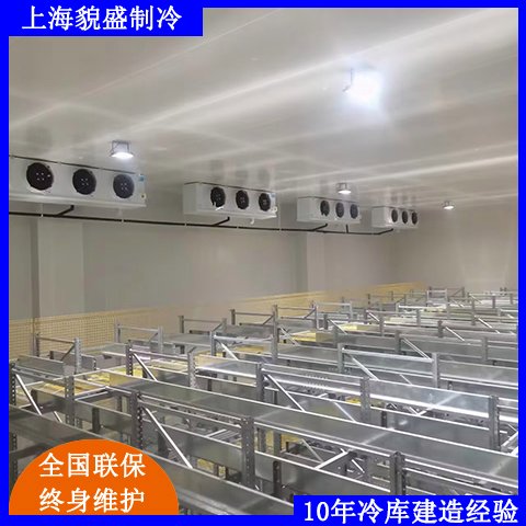 貌盛制冷全自動設備智能運輸冷庫項目安裝建造案例