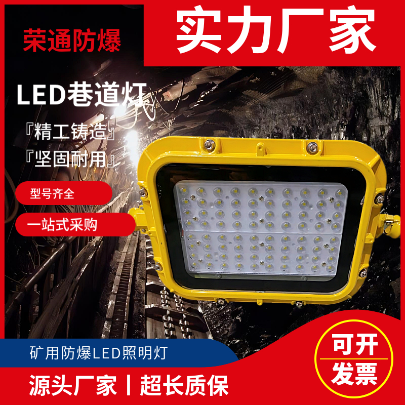 LED防爆燈具DGS50\/127L灌膠防水接線盒支架照明燈