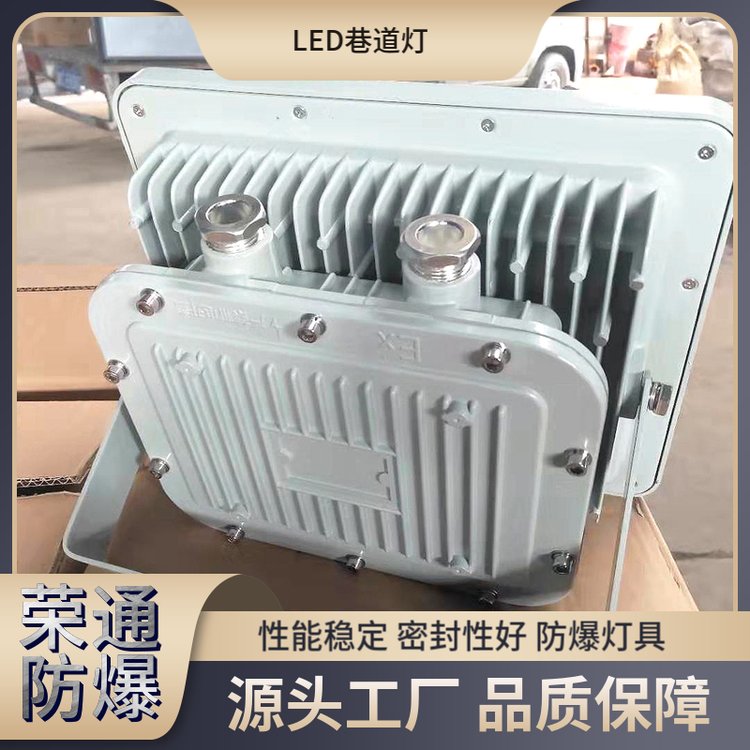 DGS18\/127L煤礦LED照明燈儲(chǔ)藏室礦用防爆燈榮通電器