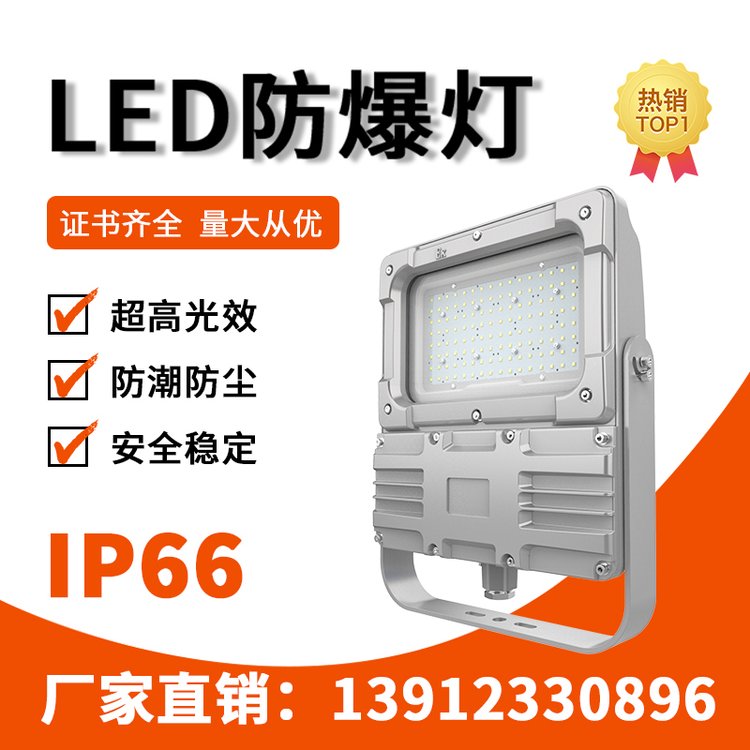 利雄GCD9193B-2代LED防爆投光燈120-150W128pcs5.7kg定制