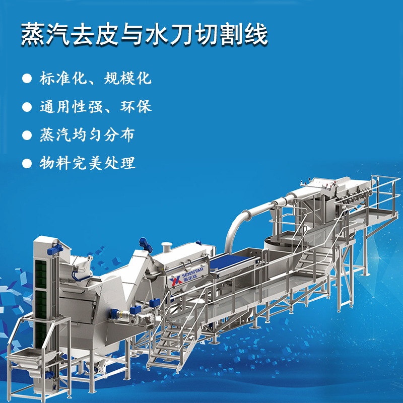 蒸汽去皮機(jī)加工黃桃罐頭土豆高溫爆皮流水線設(shè)備鑫正達(dá)