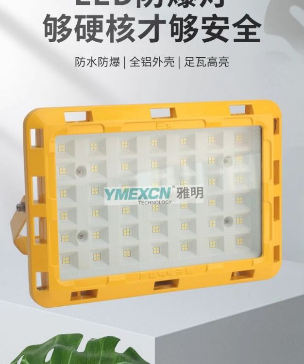 LED防爆燈化工廠房車間100W150W倉庫加油站200W300W投光泛光燈