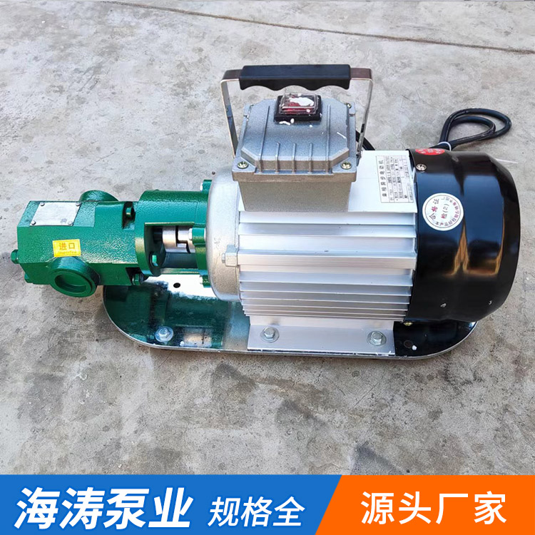 WCB-100手提式齒輪泵流量100L\/min壓力0.3Mpa用于油桶轉(zhuǎn)油