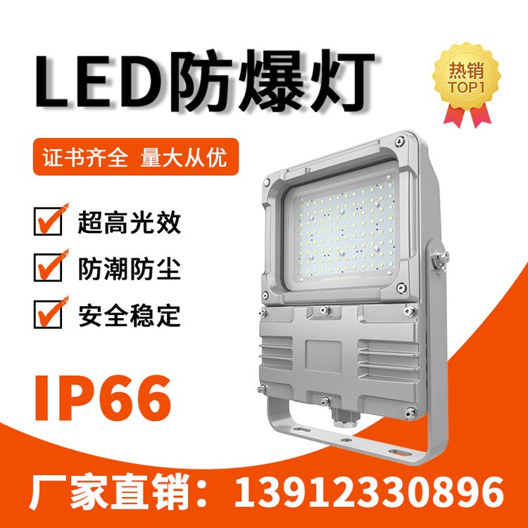 利雄GCD9193A-2代防爆工業(yè)燈60-130W96pcs定制